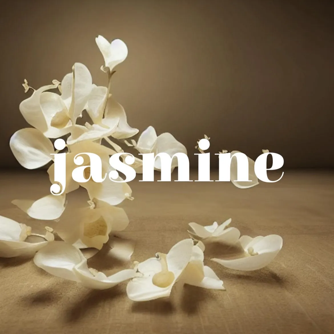 シーシャフレーバー『Jasmine』の紹介です🌼